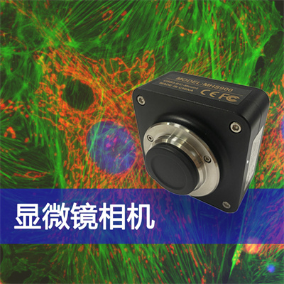 成像出色，高限度還原色彩真實(shí)性——廣州明慧顯微鏡相機(jī)