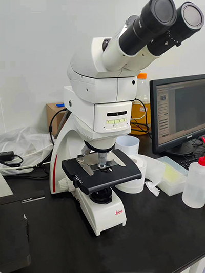 明慧三色熒光模塊附件助力徠卡DM500生物顯微鏡升級(jí)三色LED熒光觀察 明慧三色熒光模塊附件助力徠卡DM500生物顯微鏡升級(jí)三色LED熒光觀察