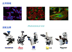 明慧四通道LED熒光光源MH-400-LED全光譜LED光源，標配385、460、520、625nm四波段，適配奧林巴斯、尼康、徠卡、蔡司、舜宇、永新、麥克奧迪品牌廠家顯微鏡。
