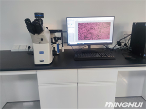 倒置金相顯微鏡NIM900和高清相機MHS900應用消防火災鑒定