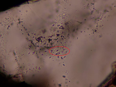 奧林巴斯BX43顯微鏡反射金相觀察
